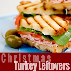 Holiday Turkey Leftovers